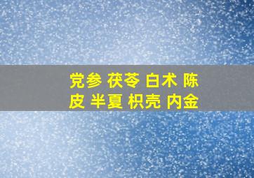 党参 茯苓 白术 陈皮 半夏 枳壳 内金